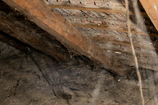 Dusty attic with cobwebs and wooden beams, perfect for haunted Halloween scenes or neglected property concepts photo