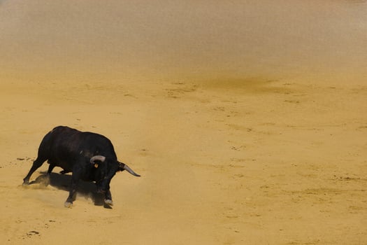 ...bull, animal, cattle, domestic, farm, background, fauna, big, photo