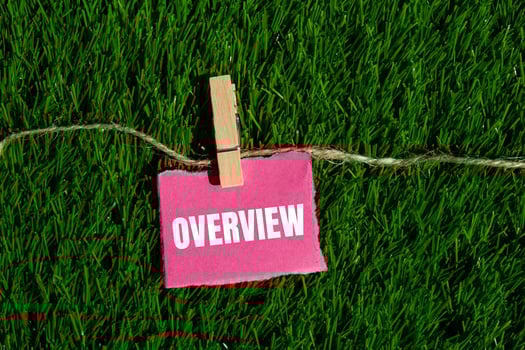 Overview message written on ripped torn pink paper piece with green grass background. Conceptual overview symbol. Copy space. photo