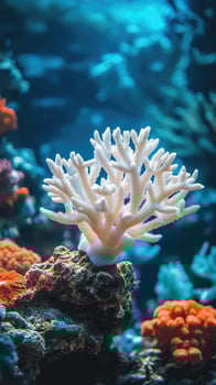 White coral reef bathed in sunlight on ocean floor photo