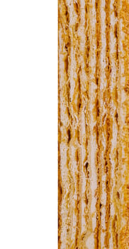 Delicious multi-layered cake with cream filling is showing its texture on white background photo