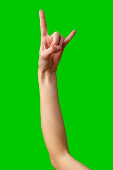 Person Making Peace Sign Gesture photo