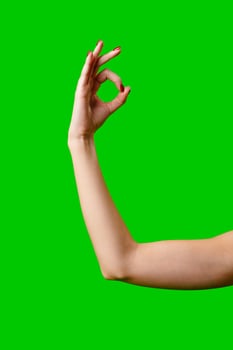 Womans Arm Hand Sign Raised in the Air photo