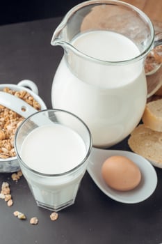 milk and bakery products photo