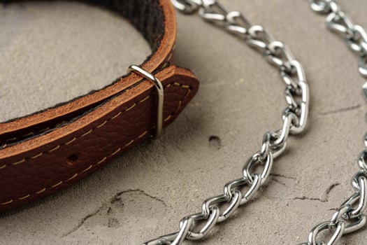Pet collar and leash on gray background photo