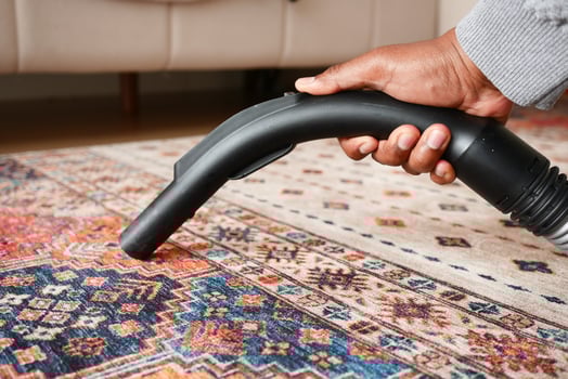 Using a handheld vacuum cleaner to effectively vacuum and clean a colorful area rug thoroughly photo