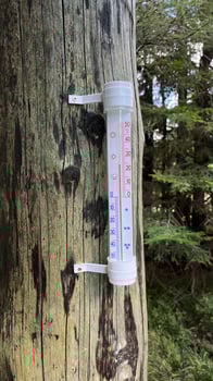 A thermometer is installed on a tree trunk in the mountains showing the air temperature. photo