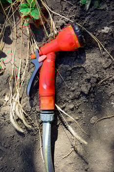 Hose with gun nozzle. Gardening tools. photo