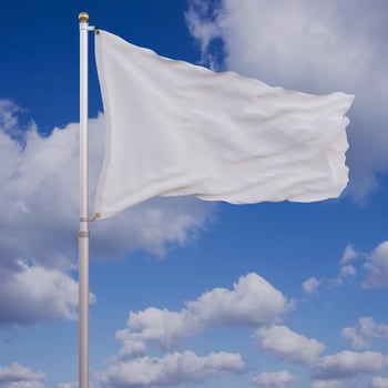 White Waving Flag photo