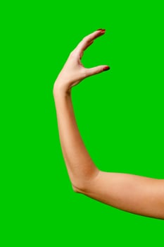 Womans Arm Hand Sign Raised in the Air photo