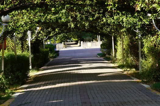 A paved walkway photo