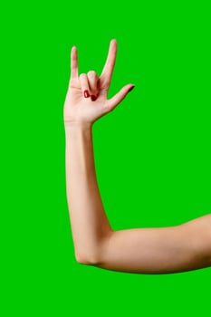 Womans Arm Hand Sign Raised in the Air photo