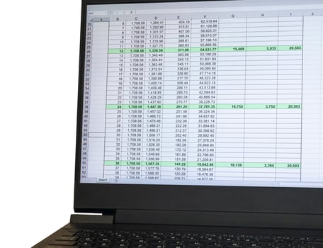 Shot of an excel sheet on computer screen showing bank loan amortization table. Finance photo