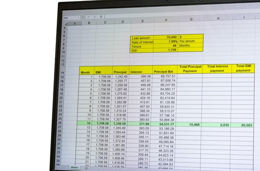 Shot of an excel sheet on computer screen showing bank loan amortization table. Finance photo