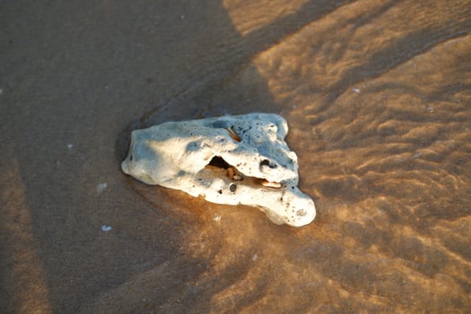 sea sand on the beach photo