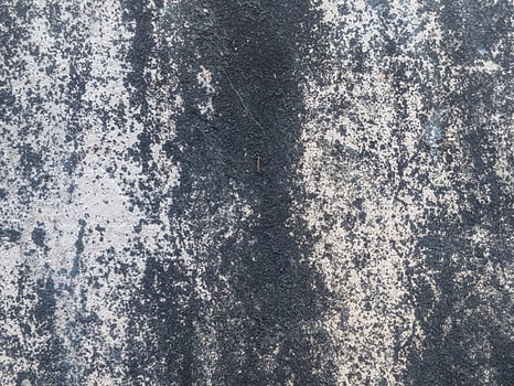 The surface of the wall is mottled with a rough texture, highlighting the intricate patterns and natural compositions, suitable for an earthy and organic design theme. photo