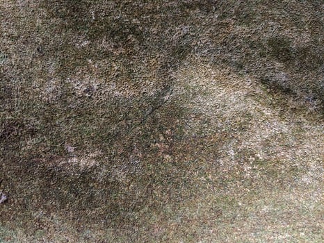 Close-up of a moss-covered surface, showcasing a rich, earthy texture with shades of green and brown, ideal for backgrounds and nature-inspired designs. photo