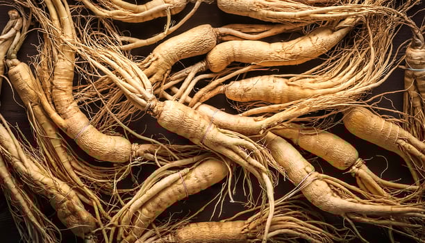 Lots of ginseng. ginseng Background Concept photo