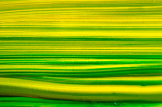 Yellow and dark green watercolor background photo