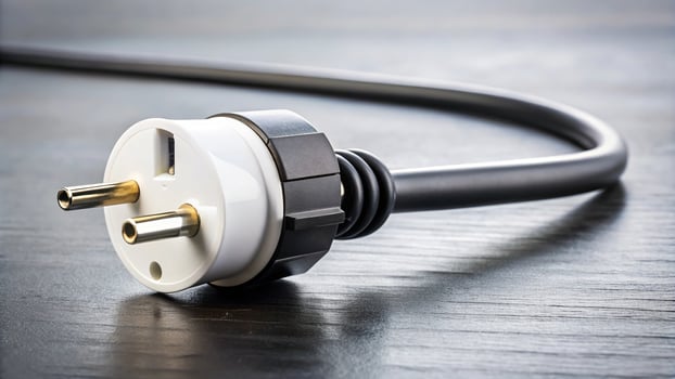 Electric plug with wires for connecting generator photo