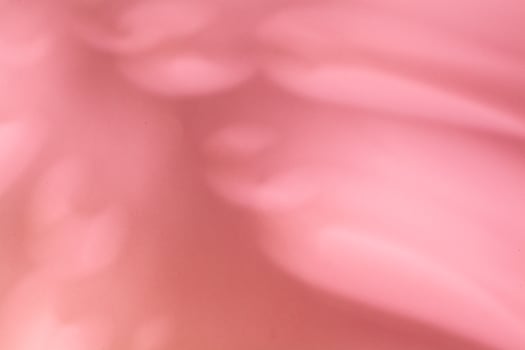 Shadow of a monstera leaf on pastel pink background photo