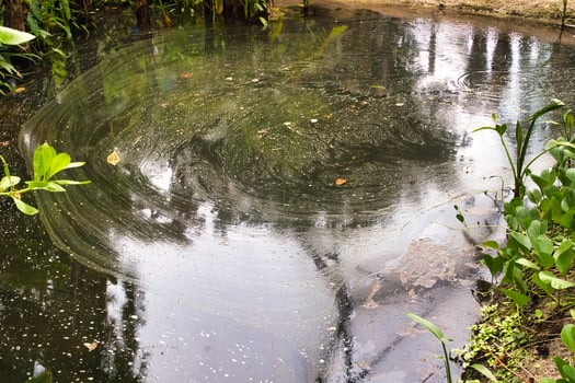 Swirling Murky Pond Surrounded by Greenery at Eden Project in Cornwall, UK photo