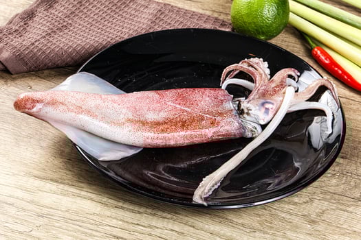 Raw fresh squid for cooking photo