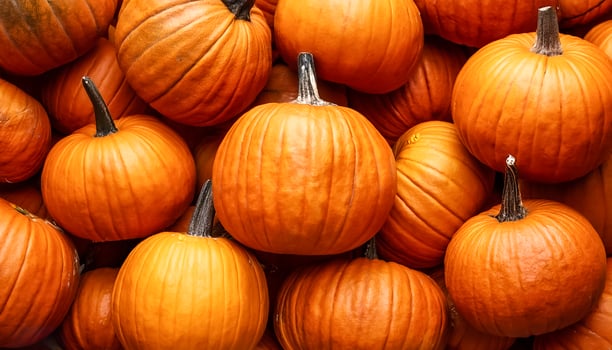Pile Lots of pumpkin. pumpkin Background Concept. photo