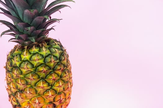 A large pineapple on a pink isolated background. Minimal style photo