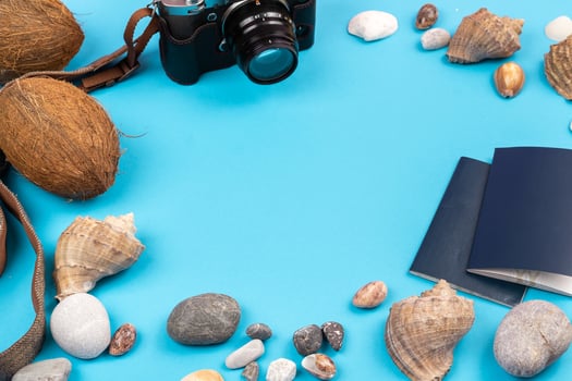 camera,coconuts, shells and documents on a blue background.Background for the traveler photo