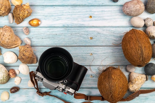 camera,coconuts and shells on a blue wooden background.Marine theme photo