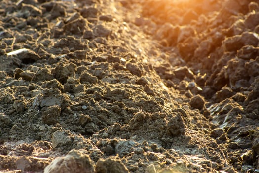 Preparation of soil in the spring. Brown soil plowed photo