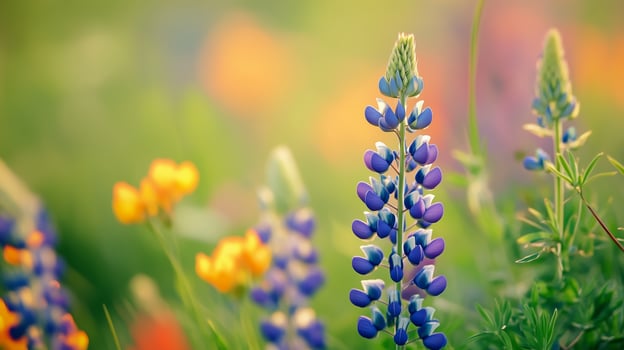 Vibrant wildflowers bloom in a lush field during late spring, showcasing stunning purple and yellow blossoms under soft sunlight photo