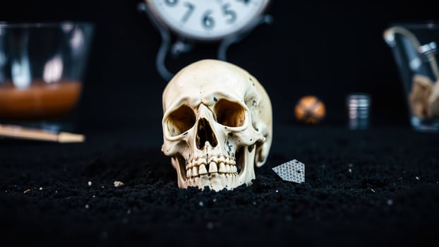 Skull on Black Background photo