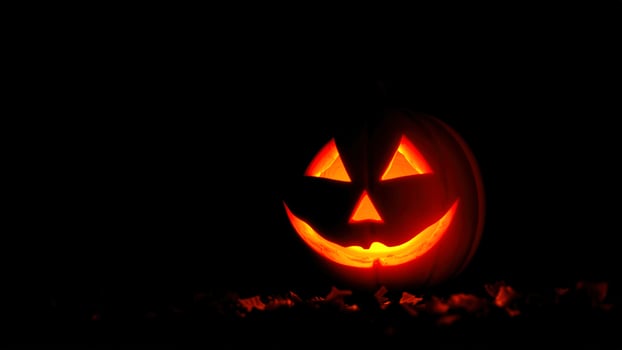 Glowing Jack-o'-Lantern in the Dark photo