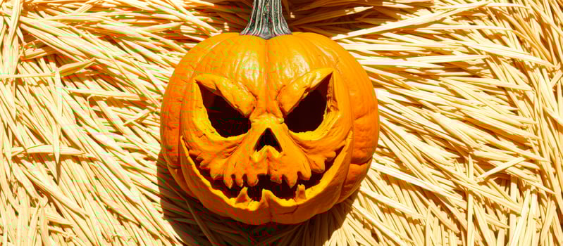 Jack-o'-lantern in a bed of straw photo