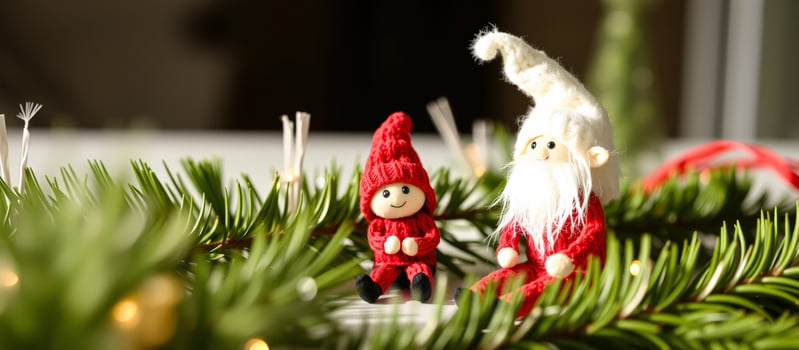 Two Christmas Gnomes Sitting on a Pine Branch photo