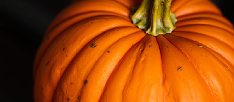 Close-up of an orange pumpkin photo