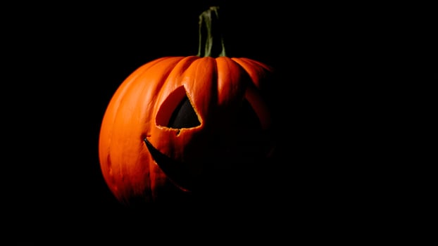 Jack-o'-Lantern against a black background photo