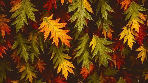 Autumn Leaves Background photo