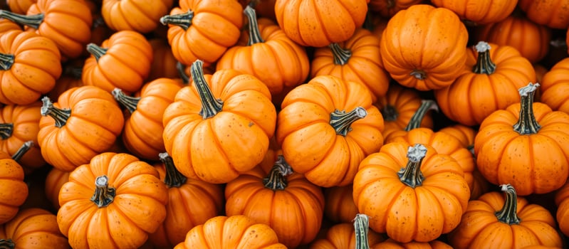 A Pile of Pumpkins photo