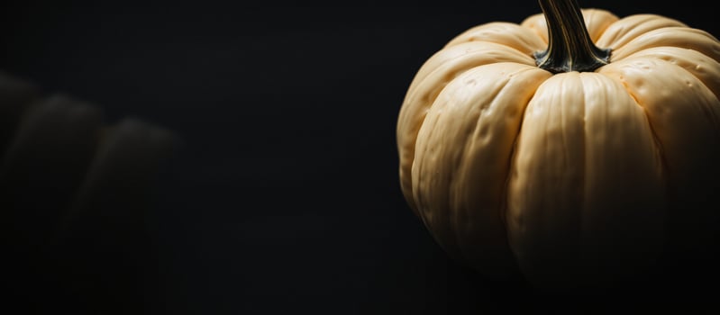 Close-up of a White Pumpkin on a Black Background photo