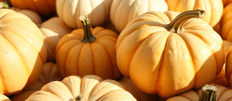 Close-up of Pumpkins in Autumn photo