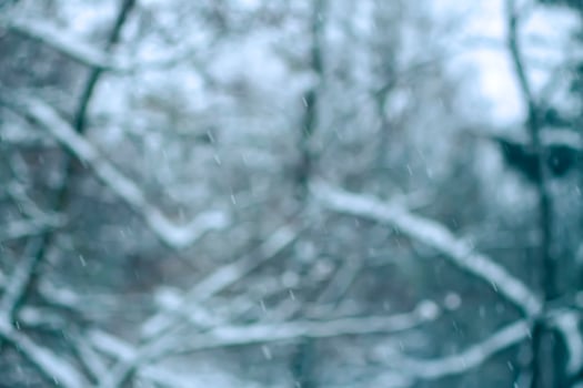 Winter nature blurred snowfall background. photo