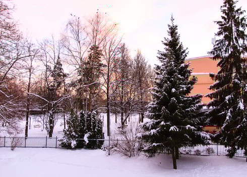 Architecture in the Old Riga, Latvia. City in a winter season before the Christmas. photo