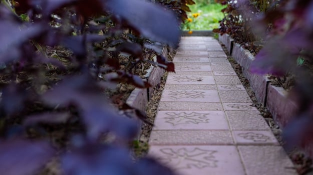 Narrow brick pathway winding through a garden. The pathway is lined with a brick border and leads to a blurred background of greenery. photo