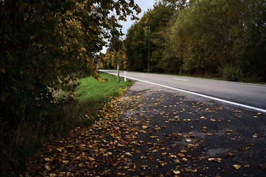 landscapes of an autumnal European village, Belgium, leaves colored by fall photo