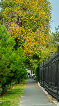 Tashkent city view photo