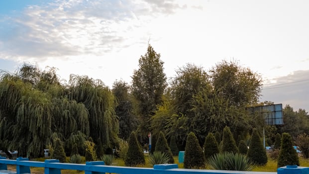 Tashkent city view photo