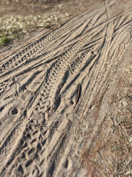 Tire tracks on the ground in the dirt photo